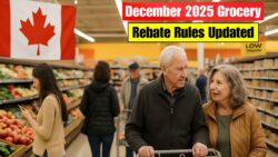 Canada’s Grocery Rebate Framework Overhauled for December 2025 – CRA Releases Full New Payment List and Updated Qualification Rules